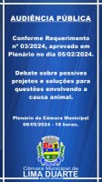 Audiência Pública