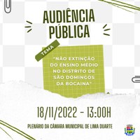 Audiência Pública - 18/11/2022 às 13:00