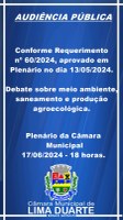 Audiência Pública