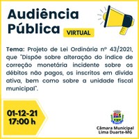 Audiência Pública Virtual para tratar do Projeto de Lei Ordinária nº 43/2021