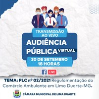 Audiência Pública Virtual