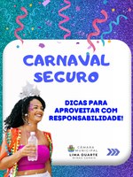 CARNAVAL SEGURO