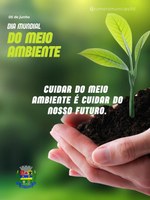 Dia do Meio Ambiente
