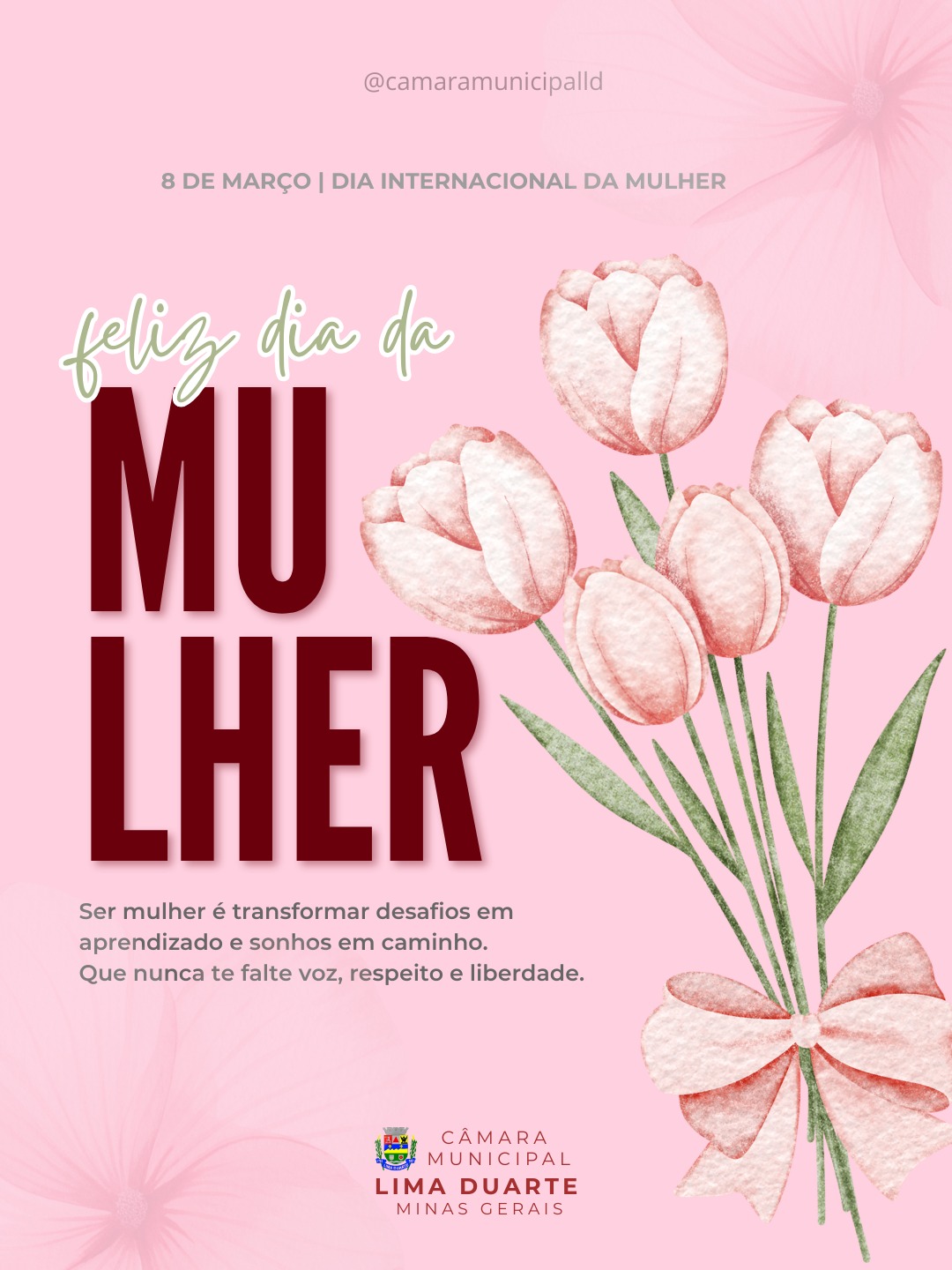 DIA INTERNACIONAL DA MULHER