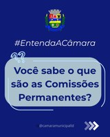 ENTENDA A CÂMARA